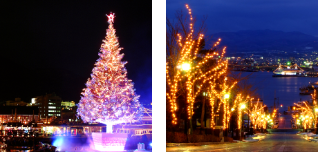 Hakodate Christmas Fantasy / Hakodate Illumination